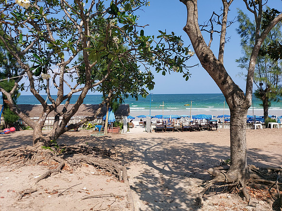 20220317_150515-beach-path