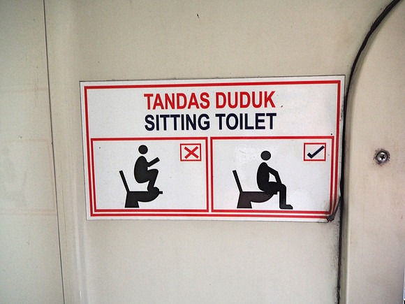 P9100022-sitting-toilet