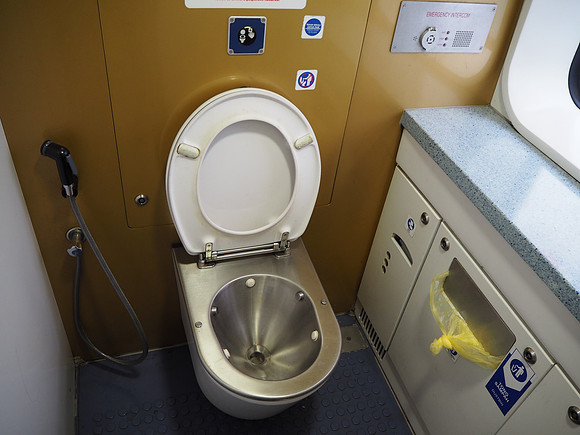 P9100065-toilet
