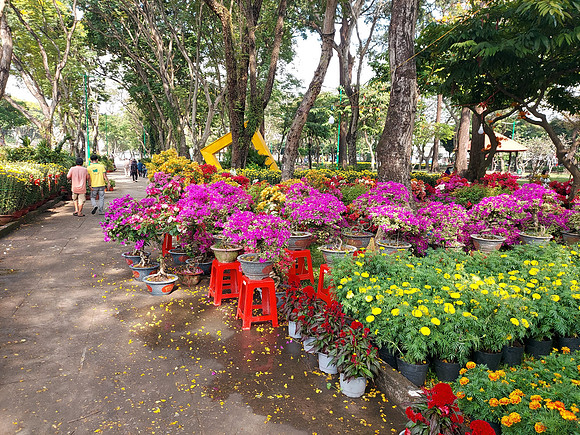 20230114_143843-flower-market