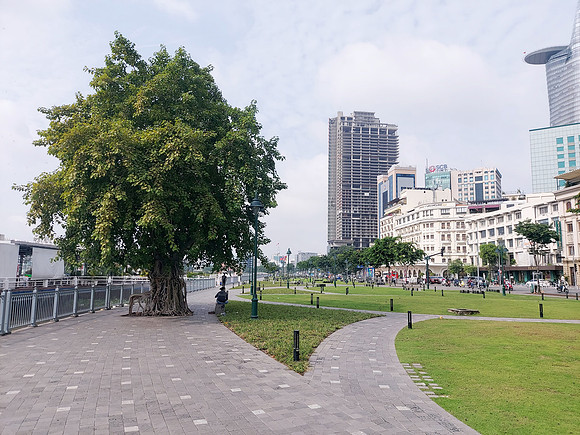 20230715_084633-bach-dang-park