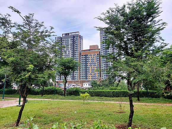 20231015_115747-cau-rach-ong-park