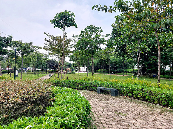 20231015_120020-cau-rach-ong-park