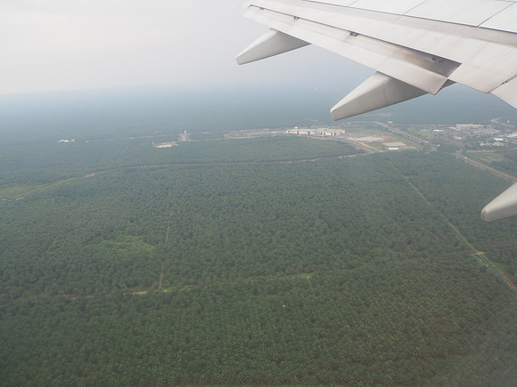 P9150027-palm-oil-plantations