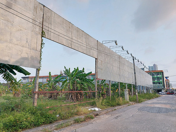 20230312_181331-bananaland