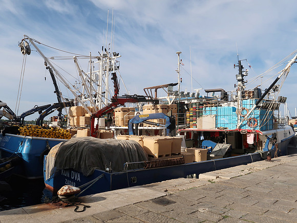 IMG_0721-fishing-fleet