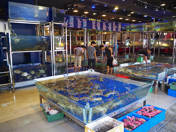 PA080104-fresh-seafood