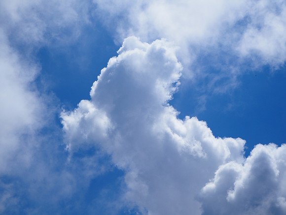 PA100127-dog-cloud