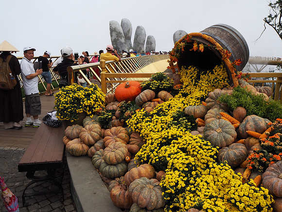 PA100057-gourd-season
