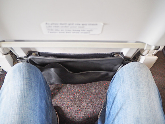 PA110041-leg-room