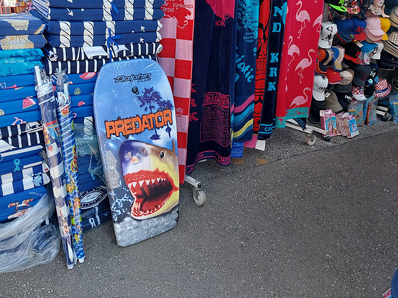 20210910_143926-shark-biscuit