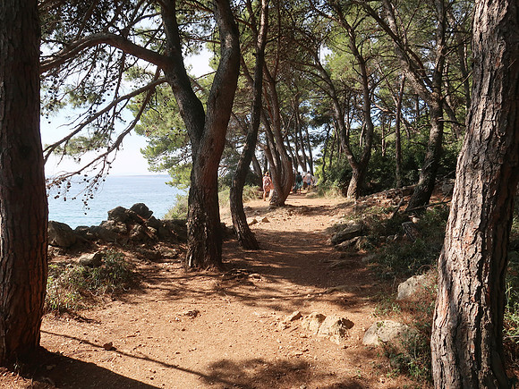IMG_0996-cliff-walk