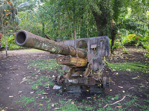 PA270063-gun