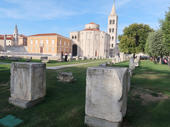 IMG_1205-forum