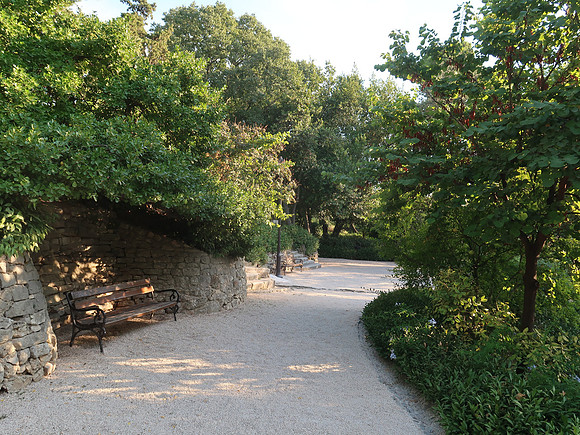 IMG_1229-oases-of-peace