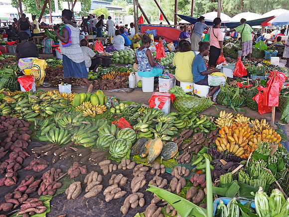 PA260017-market