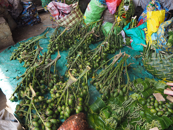PA260020-betelnut-bunches