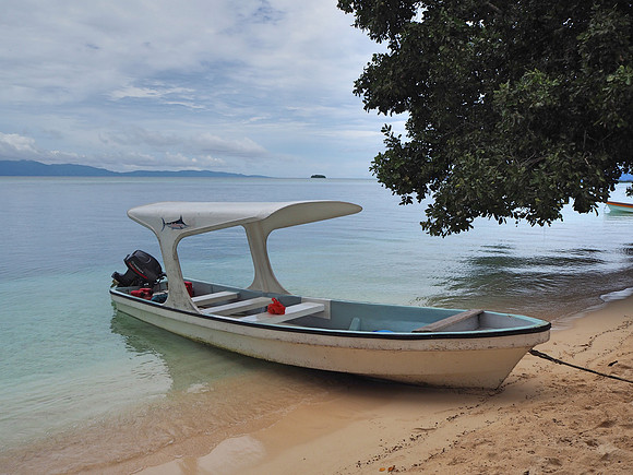 PA260059-boat
