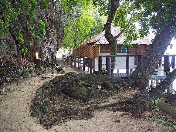 PA250024-path-to-bungalow