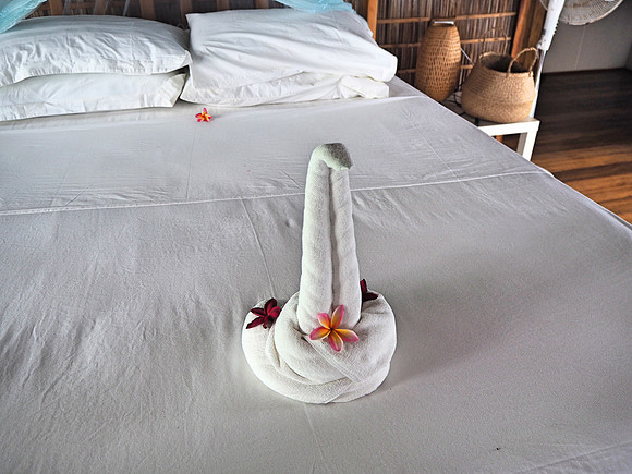 PA250033-swan-towel
