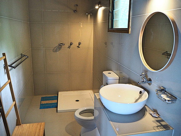 PA250035-bathroom
