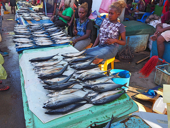 PA220083-fish-market