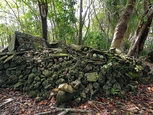 20181025_092648-skull-mound