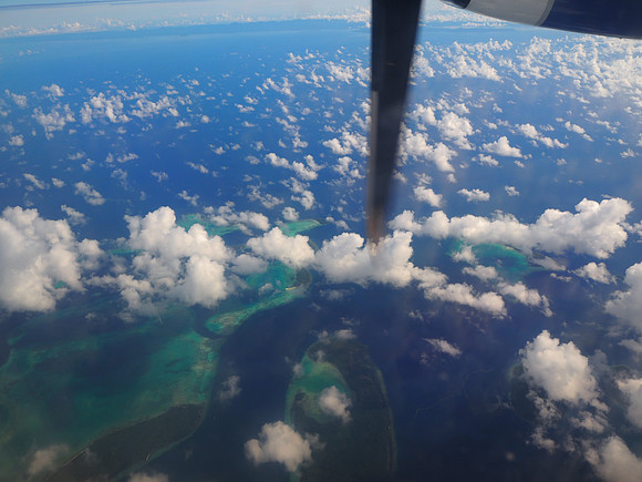PA230030-reefs