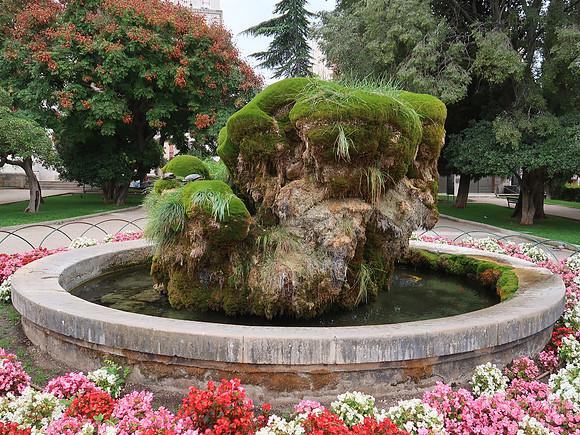 IMG_1315-turtle-fountain