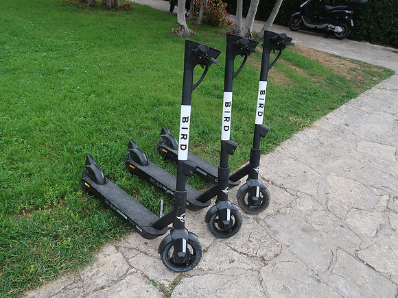 IMG_1334-bird-scooters