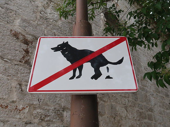 IMG_1357-no-dog-poo