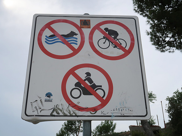 IMG_1397-no-swimming-dogs
