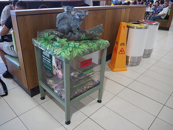 PB040017-koala-donation-box