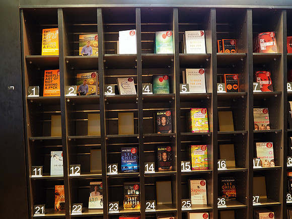 PB040018-books