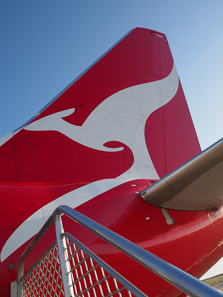 PB110045-flying-kangaroo