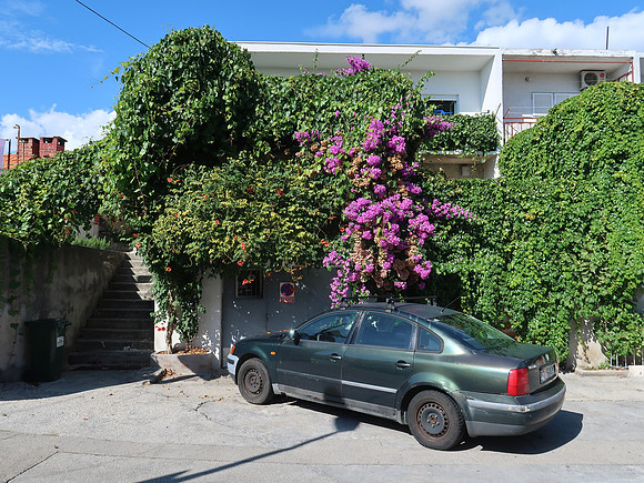 IMG_1421-garden-house