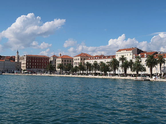 IMG_1443-split