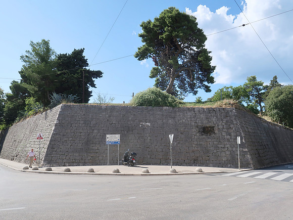 IMG_1601-defensive-wall