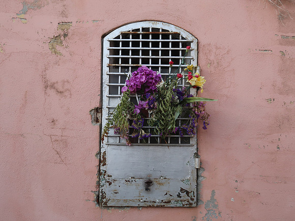 IMG_1730-flower-window