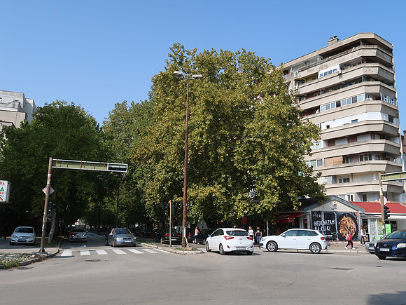 IMG_1900-splitska