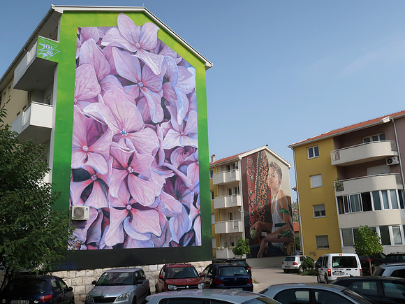 IMG_1922-flower-mural