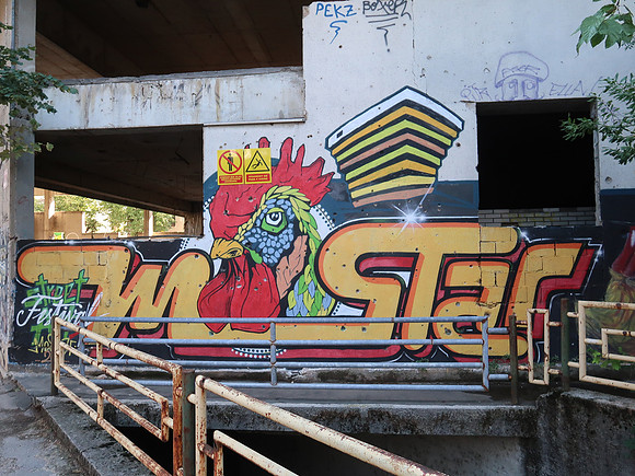 IMG_2005-mostar-chicken