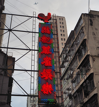 PC130062-neon-chicken
