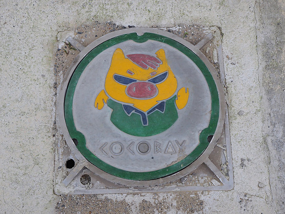 PC120049-cocobay