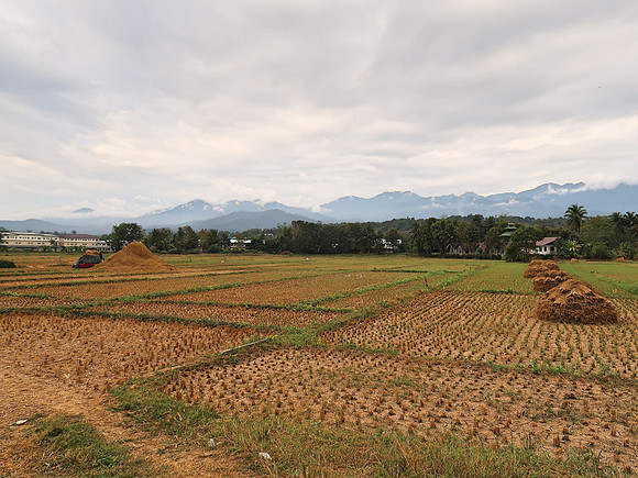 IMG_0599-rural-pai
