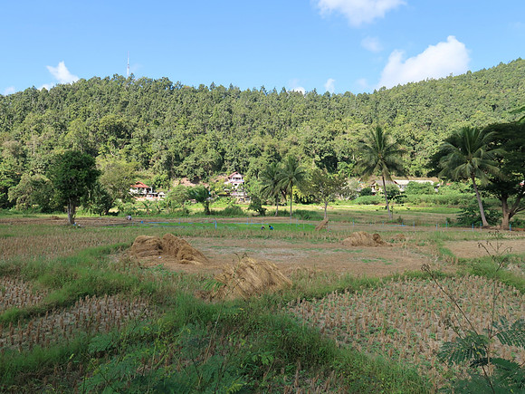 IMG_0629-rural-mhs