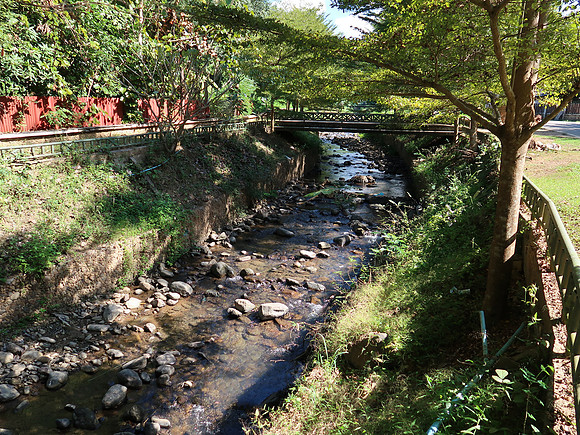 IMG_0635-stream