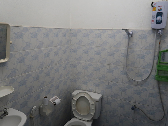 IMG_0638-palm-bathroom