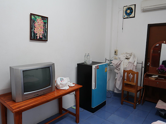 IMG_0637-palm-tv