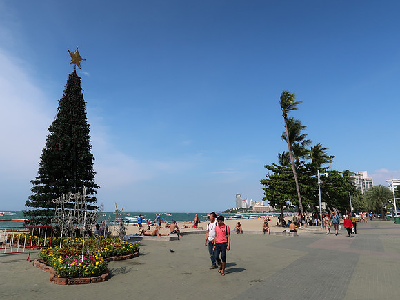 IMG_1188-christmas-tree
